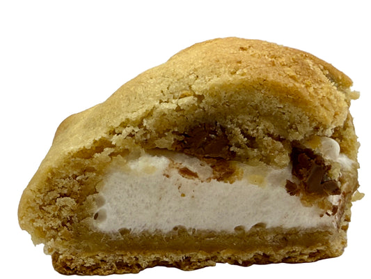 Campfire S’mores